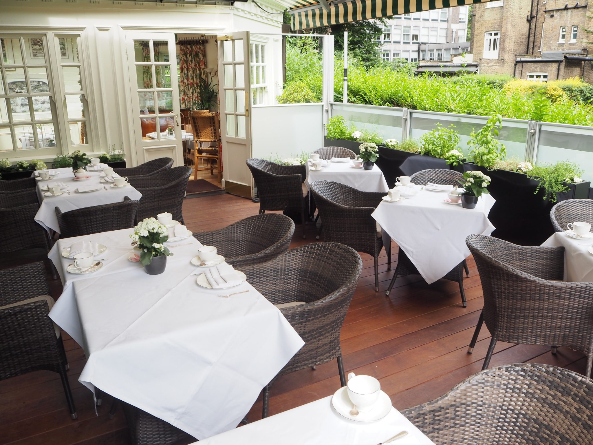 Afternoon tea at The Montague on the Gardens Hotel, London Review