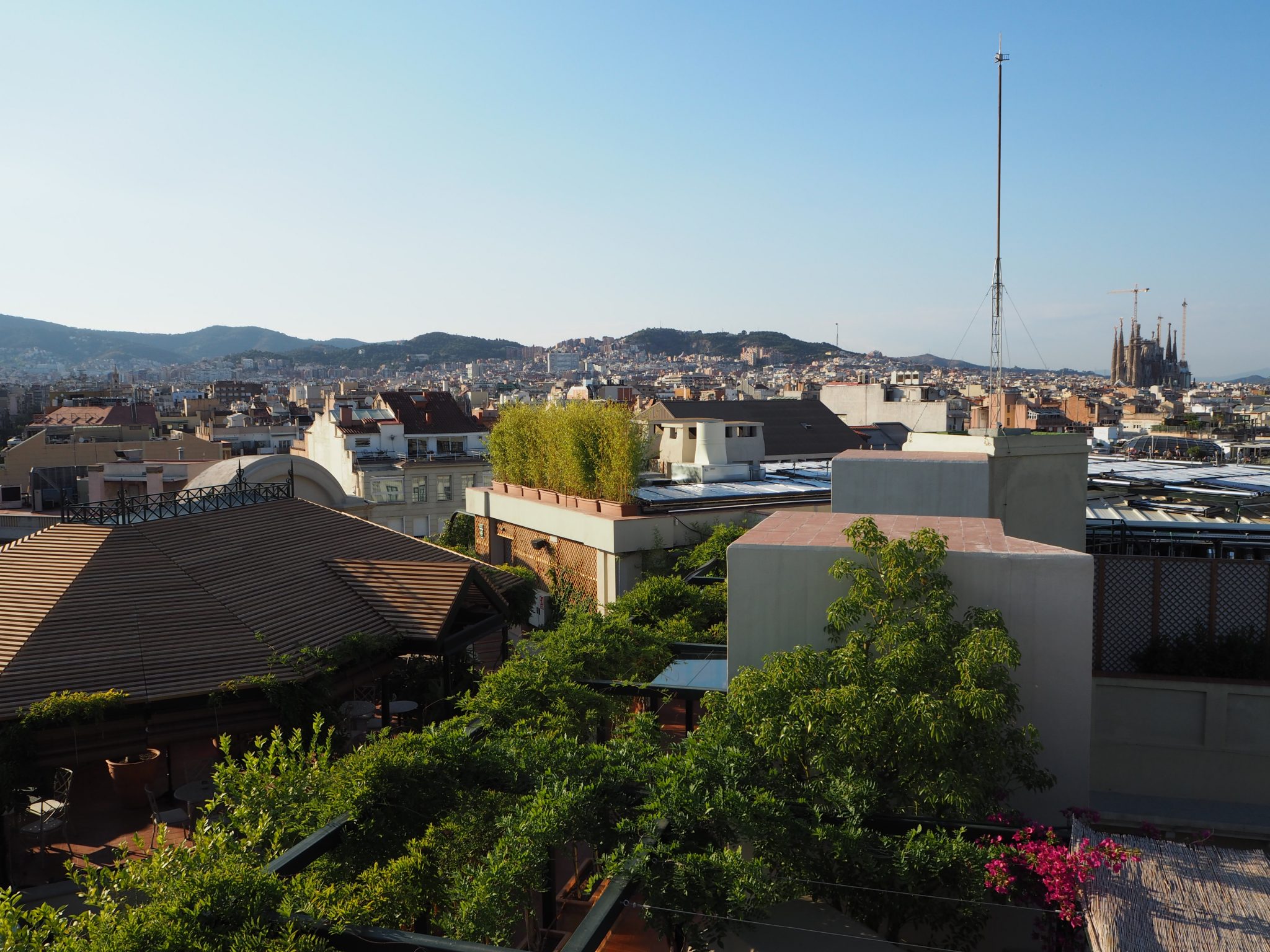 Afternoon Tea at El Palace Hotel Barcelona Review